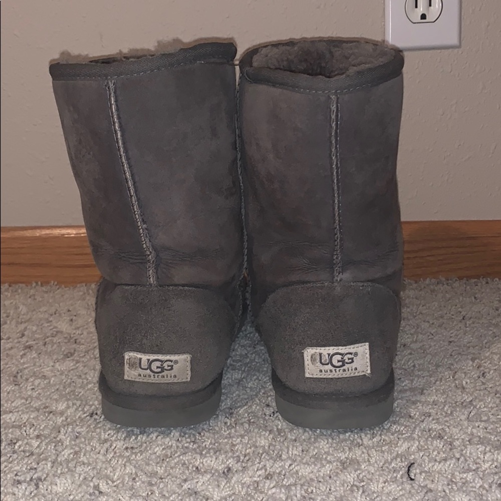 grey uggs